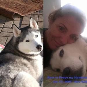 Meet your Posher, Josie